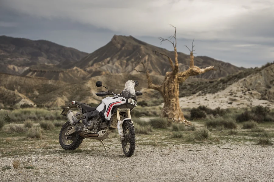 Ducati DesertX à l'arrêt dans un paysage désertique